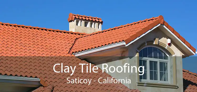 Clay Tile Roofing Saticoy - California
