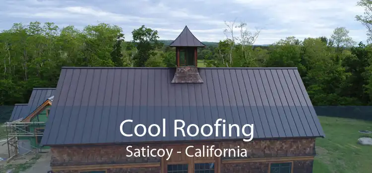 Cool Roofing Saticoy - California