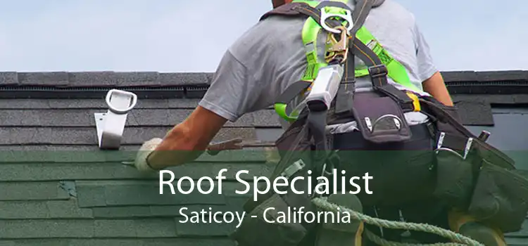 Roof Specialist Saticoy - California