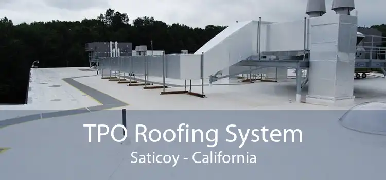 TPO Roofing System Saticoy - California