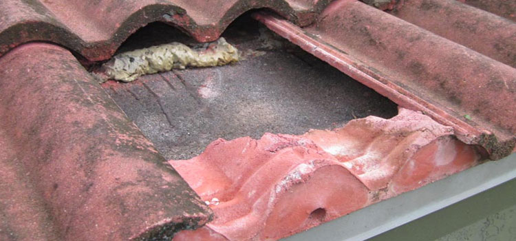 Concrete Ridge Tile Roofing Saticoy